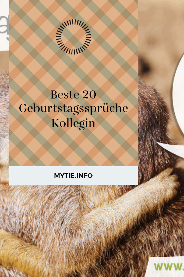 Beste 20 Geburtstagssprüche Kollegin
